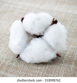 Cotton Texture And Cotton Boll
