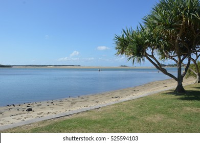 Cotton Tree Maroochydore Images Stock Photos Vectors Shutterstock