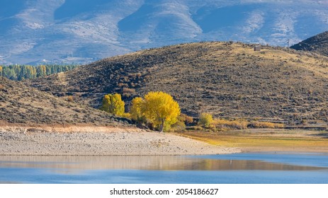 Cottonwood trees along Deer creek reservoir shore in Utah