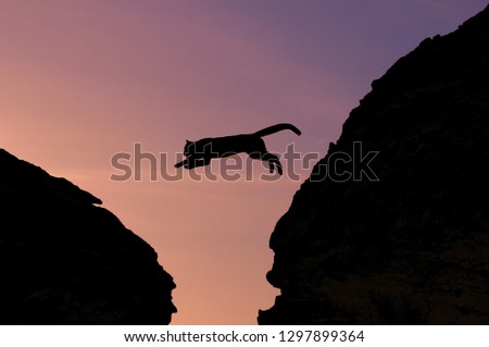 Cougar jumps between two large rocks at at sunrise in silloutte