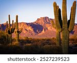 Cougar shadow on the Superstition Mountains in Apache Junction, Arizona.