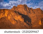 Cougar of The Superstition Mountains in Central Arizona, America, USA.