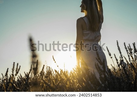 Sunset, Field