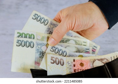 Counting Czech koruna CZK in wallet of man holding Czech koruna banknotes