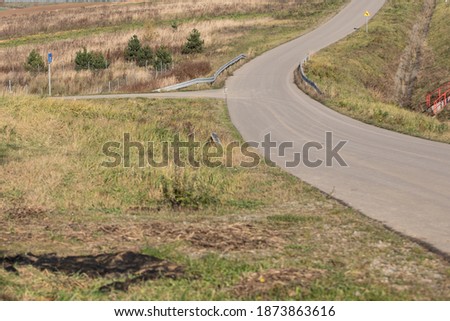 Country asphalt road in a summer day