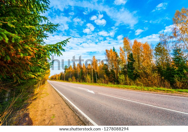 Country autumn road going downhill. Mixed\
forest. Cloudy weather. Autumn evening. Beautiful nature. Russia,\
Europe. View from the side of the\
road.