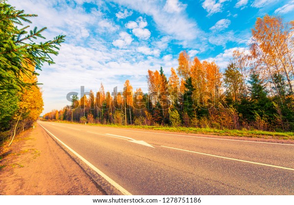 Country autumn road going\
downhill. Mixed forest. Cloudy weather. Autumn evening. Beautiful\
nature. Russia, Europe. View from the side of the road. Orange-blue\
toning.