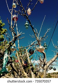 Country Christmas Ornament Tree Outside Vintage Antique Sky West Texas Desert