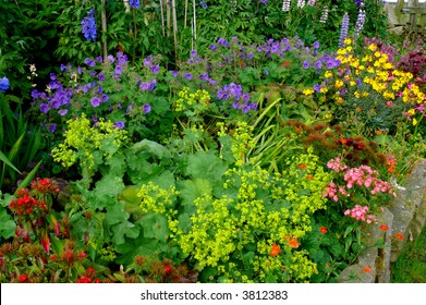 A Country Cottage Garden In Bloom In The Summer Time