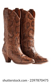 Country dance boots in python on white background