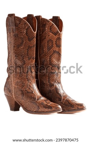Country dance boots in python on white background