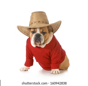 210 Old Country Bulldog Images, Stock Photos & Vectors | Shutterstock