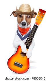 country dog with a guitar and a cowboy hat