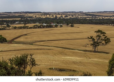 Country Farm West Australia