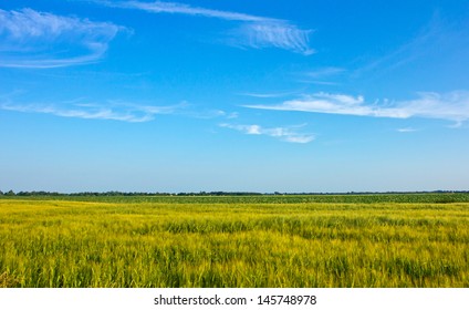 2,342,158 Country field Images, Stock Photos & Vectors | Shutterstock