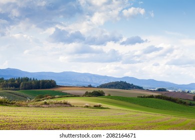 Country field in Hokkaido in Autumn