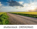 Country gravel road and green wheat field with sky clouds at sunset