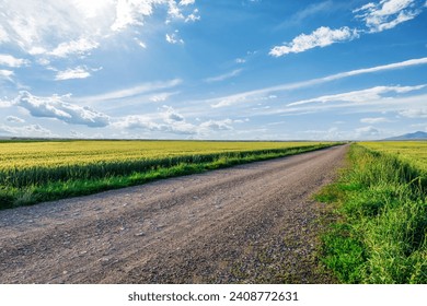 Country gravel road and green wheat fields with sky clouds natural landscape under blue sky