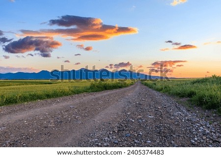 Country gravel road and green wheat field and mountain nature landscape at sunset