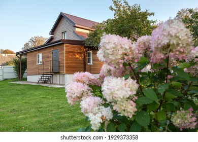 Country House With Backyard, Beautiful Flowers Are On Foreground And Green Lawn Is In Front Of Cottage, Nobody