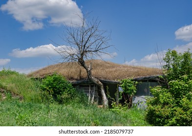 country house roof covered with moss covered with clay looks like a hobbit house in the countryside but with internet and light.
