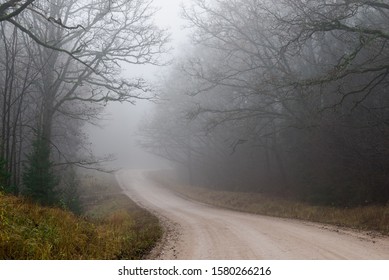 Country landscape. An empty dirt road through the oak trees in a strong morning fog. Forest in the background. Latvia