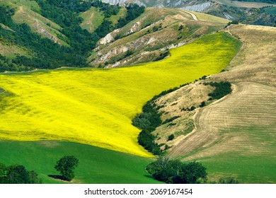 Landschaft auf den Hügeln der Provinz Bologna, Emilia-Romagna, Italien, in der Nähe von Imola und Riolo Terme, im Frühjahr