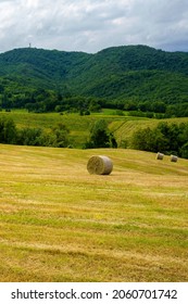 Country landscape at spring near Riolo and Canossa, Reggio Emilia province, Emilia-Romagna, Italy