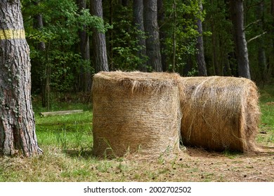 Country landscape with straw stack. High quality photo