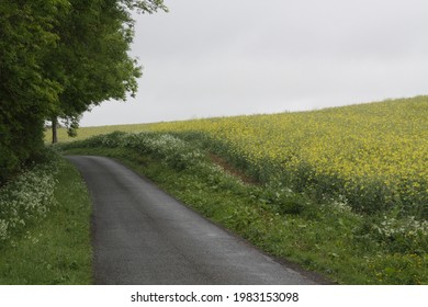 Country Lane In The Cotswolds Through A Spring Meadow With Flowers