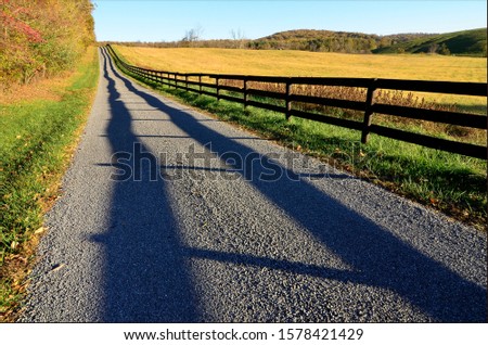 Country Lane, Fence and Fence Shadow
and Pasture