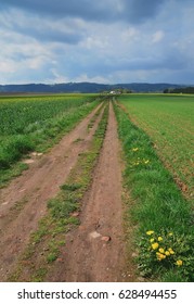 Country Lane And Field