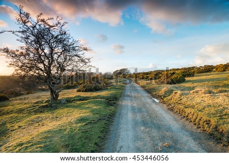 A country lane near St Breward on Bodmin Moor in Cornwall