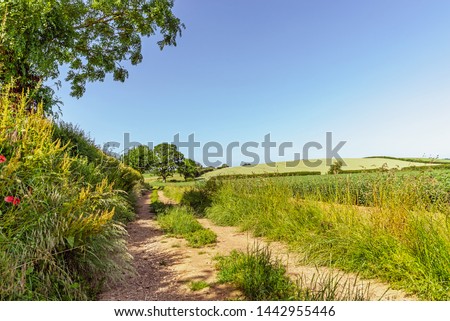 A country lane running between a hedgerow and a field of crops.  There is a hill in the distance and blue sky overhead.