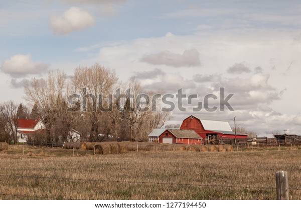 Country Living Farmland Alberta View House Stock Photo Edit Now