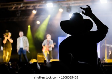 Country Music Festival Crowd 