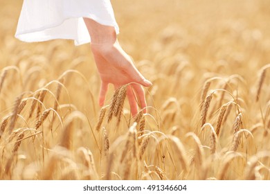 country, nature, summer holidays, agriculture and people concept - close up of young woman hand touching spikelets in cereal field