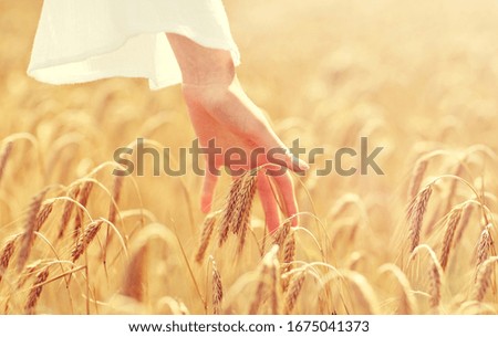 Similar – Image, Stock Photo wheat field Grain