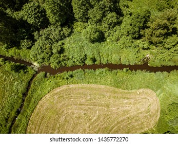 country river in green forest. drone aerial image from birds eye