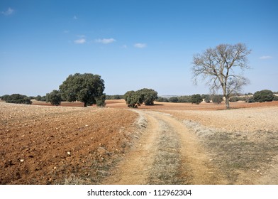 Country road in an agricultural landscape. Photo taken in Brea de Tajo, Madrid Province, Spain
