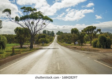 Country Road In Albany, Western Australia