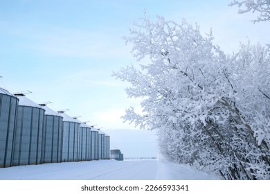 Country road along the farm with steal grain bins and the snowy forest in the winter. - Powered by Shutterstock