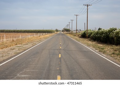 Country Road Along Plantation In California, USA