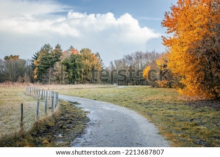 Country road in Autumn in a French countryside with a single lane road