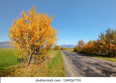 Country road in autumn, orange coloured trees on sides, mount Krivan (Slovak symbol) with clear sky in distance