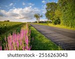 Country road and bend in the middle of the fields of France.