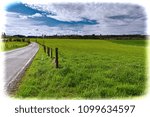 Country road between spring fields with green grass in Belgium. Belgian landscape with meadow and pasture. Vintage style toned picture