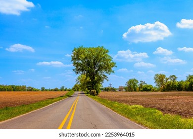 Country Road With Blue Sky - Shutterstock ID 2253964015