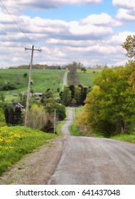 Country Road In Cortland County, New York