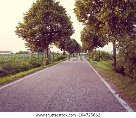 Country road in crossprocessing effects.